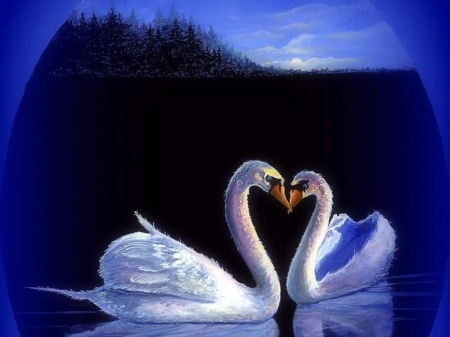 Kissing Swans - paintings, love, moons, swans, beloved valentines, kiss, couple, lakes, love four seasons, animals