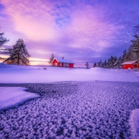 Winter wonderland