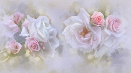 Beautiful Flower - roses, bloom, flowers, soft