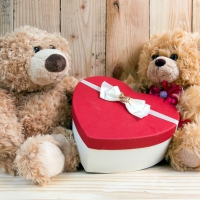 teddy bear love