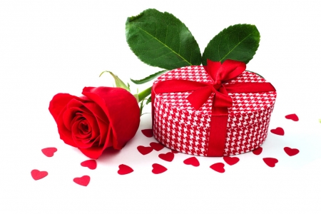 Rose and Gift - love, valentine, gift, rose