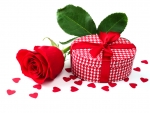 Rose and Gift