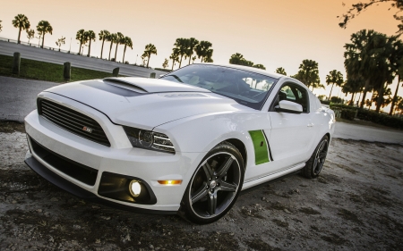 Ford Mustang - muscle, car, ford mustang, american, ford