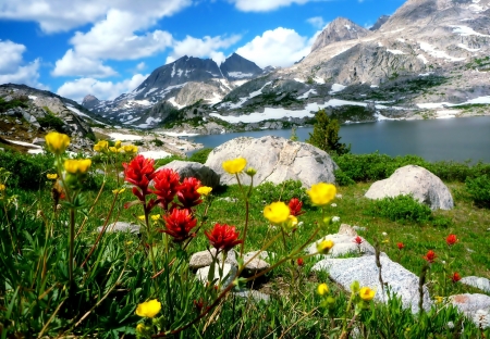 Springtime in the Mountains - sky, lake, landscape, blossoms, clouds, flowers