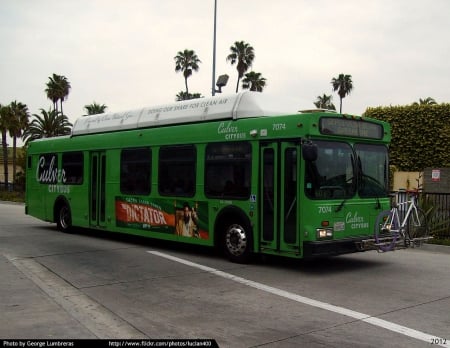 New Flyer C40LF - disney, cartoons, buses, new flyer