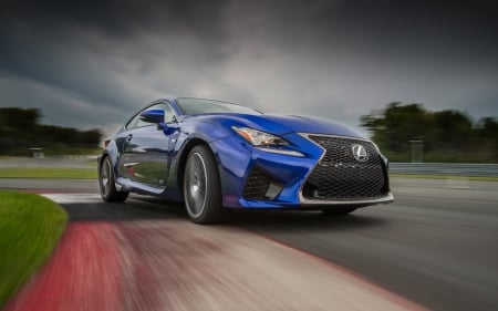 lexus rc f - lexus, sports, car, coupe