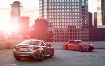 lexus rc f - lexus, sports, car, coupe