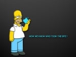 homer simpson culprit