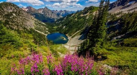 Mountain lake - trees, beautiful, landscape, slope, spring, mountain, wildflowers, view, cliffs, lake, sky