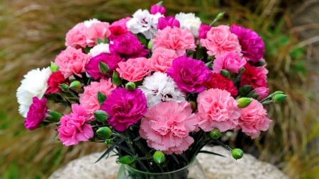 Bouquet of carnations - flowers, carnation, pretty, colorful, beautiful, spring, bouquet, pink