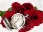 time of love