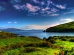 fields along a beautiful lake in summer