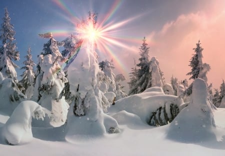 Winter Sun - mountains, winter, winter sun, sun, winter time, sky, clouds, trees, nature, snow