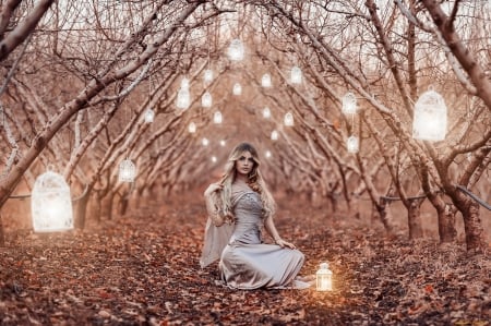 Lovely Girl - woman, lantern, lovely, trees