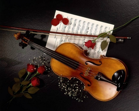 Still Life - petals, still life, notes, violin