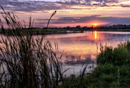 Golden with purple Sunset - nature, sky, lake, sunset