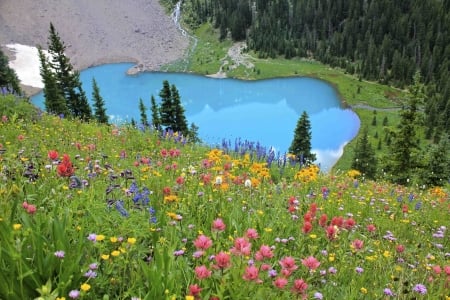 Springtime - firs, blossoms, lake, hills