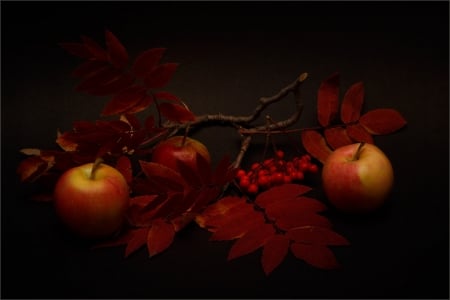 Still Life - beautiful, apple, wallpaper, still life