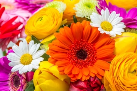 Floral background - pretty, roses, beautiful, spring, lovely, freshness, leaves, flowers, daisies, background, floral, gerbera