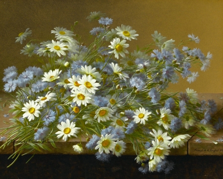 Still Life - daisies, flowers, blossoms, bouquet