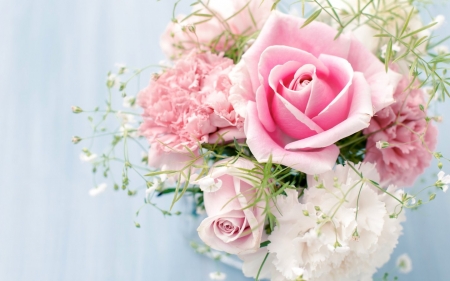 Beautiful Flower - roses, bloom, flowers, pink