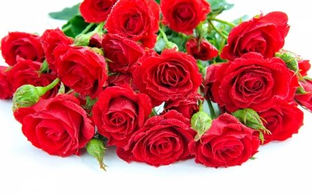 Happy Valentine's Day! - white, red, card, flower, rose, valentine, bouquet, green