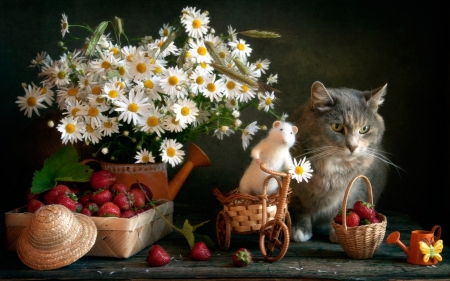 Still life with mouse and cat - white, berry, cat, animal, mouse, still life, flower, fruit