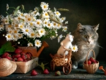 Still life with mouse and cat