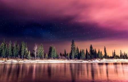 night in lake - nature, magic, lake, night, pink