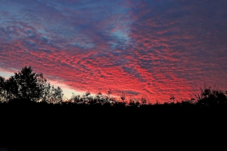 Red Sky - nature, sunset, clouds, beautiful