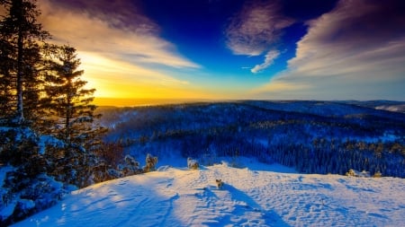 Winter in Norway - valley, sky, mountain, trees, winter, glow, amazing, norway, snow, beautiful, sunny