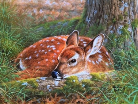 Deer Nap - love four seasons, animals, paintings, grass, deer, cute