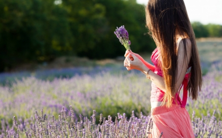 Lovely Day - flowers, field, woman, model