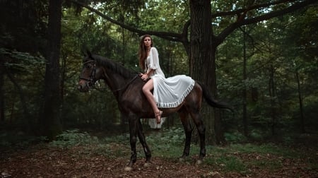 Beauty - horse, trees, woman, model