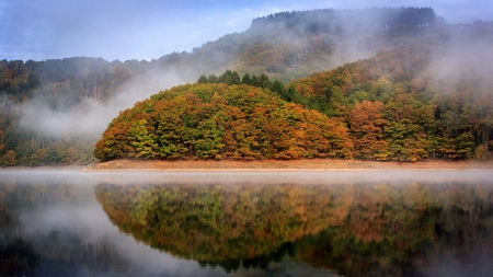 spectacular autumn lake reflections - reflections, lake, autumn, forest, mist