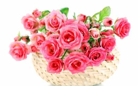 Roses - white, flower, rose, pink, valentine, mother, basket, day