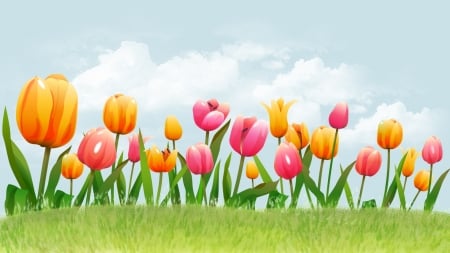 Spring Tulip Garden - flowers, clouds, colorful, tulips, spring, grass, sky