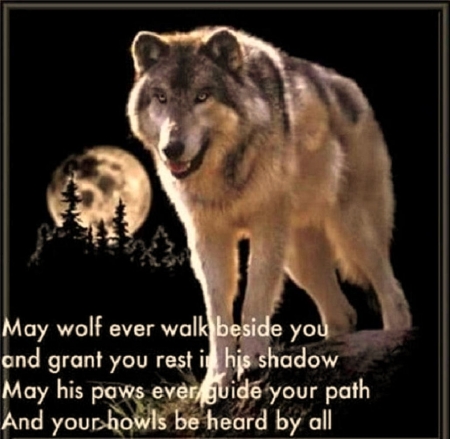 'Native wisdom'..... - words of wisdom, native, native american, wolves