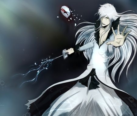 Vasto Lorde Ichigo 47 HD Wallpaper