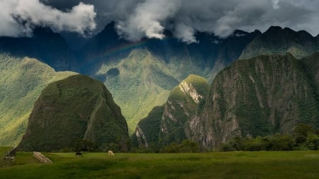 rainbow over machu picchu on green andes - mountains, clouds, llamas, ruins, green, grass