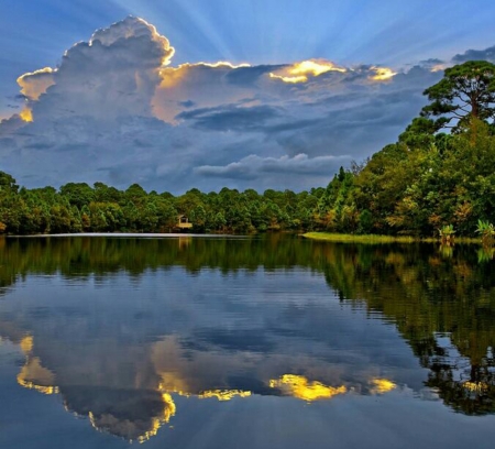 Reflecting Clouds - clouds, trees, nature, lake, forest, sky