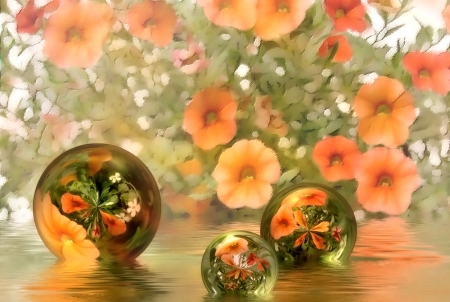 Flowers in Glass Ball - ball, flowers, pretty, glass