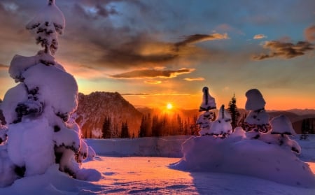 Winter Sunset - winter, tree, sunset, snow