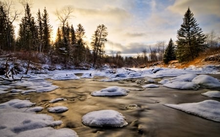 River at winter - snow, river, winter, tree