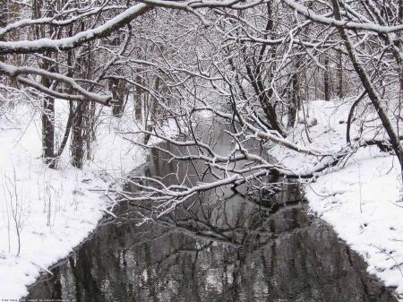 Winter River - forest, water, reflection, trees, snow