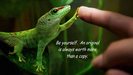 Be Yourself - lizard, leaf, hand, reptile