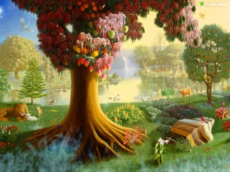 Edan's Garden - fantasy, garden, painting, art, edan