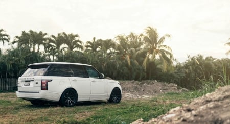 2015 Range Rover - white, 2015, black rims, rover