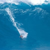 surfing the maui waves