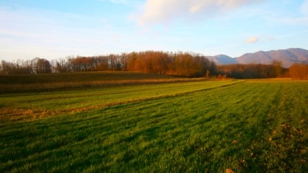 Beautiful field with forest - hills, beautiful, beauty, grass, forest, cool, hrvatsko zagorje, mountain, wonderful, sunset, field, croatia